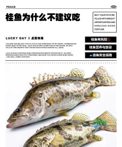 养殖桂鱼,掌握关键技巧,实现高效增收 养殖桂鱼,掌握关键技巧,实现高效增收