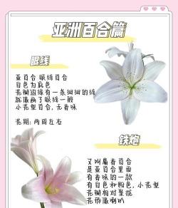 养花中加糖,常见误区解析,实用技巧分享 养花中加糖,常见误区解析,实用技巧分享