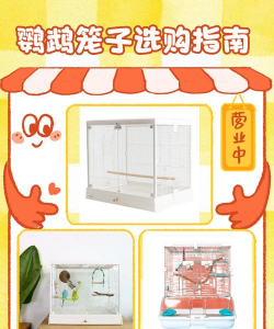 养殖笼子,怎么选才合适,关键看这几点 养殖笼子,怎么选才合适,关键看这几点