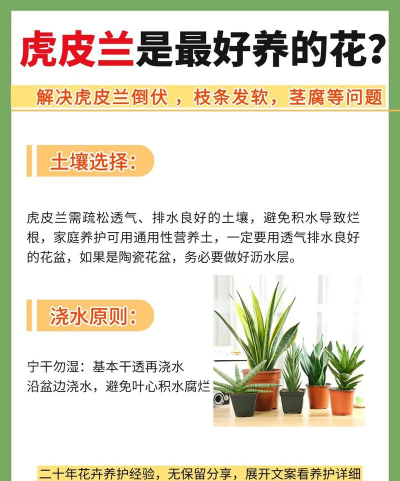 什么树皮能养花,了解常见种类,掌握使用技巧 什么树皮能养花,了解常见种类,掌握使用技巧