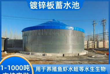 水箱养殖,新手入门,常见问题解答 水箱养殖,新手入门,常见问题解答