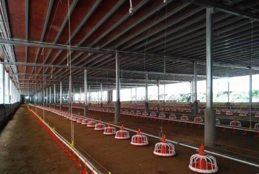 养殖场设备,提升养殖效率,降低人工成本 养殖场设备,提升养殖效率,降低人工成本