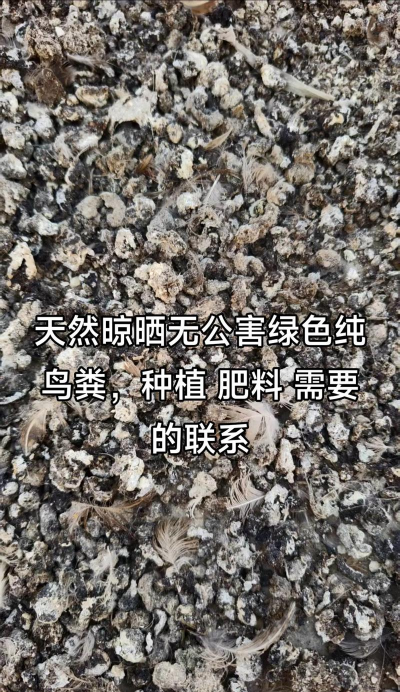 鸟粪能养花吗,天然肥料,使用要点 鸟粪能养花吗,天然肥料,使用要点