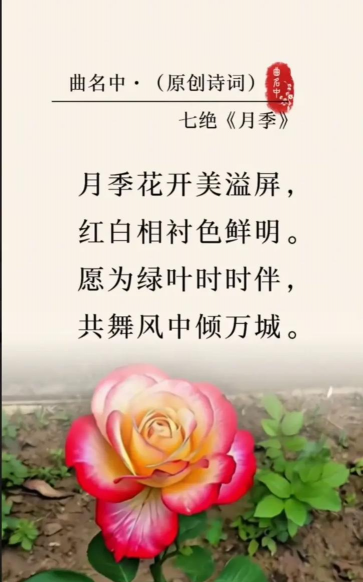 养花的心情诗词,感受自然之美,抒发内心情感 养花的心情诗词,感受自然之美,抒发内心情感