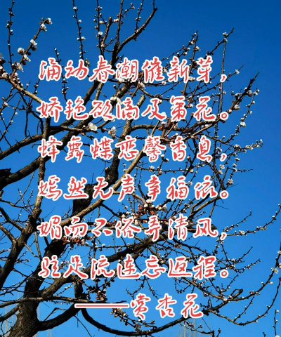 养花的心情诗词,抒发内心情感,感受自然之美 养花的心情诗词,抒发内心情感,感受自然之美