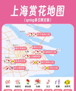 上海花卉展,看展攻略,赏花指南 上海花卉展,看展攻略,赏花指南