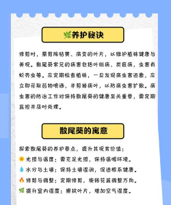 散尾葵如何过冬 散尾葵如何过冬