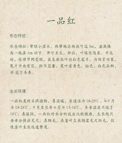 一品红怎么浇水 一品红怎么浇水