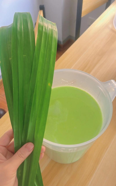 香兰叶在中国叫什么 香兰叶在中国叫什么