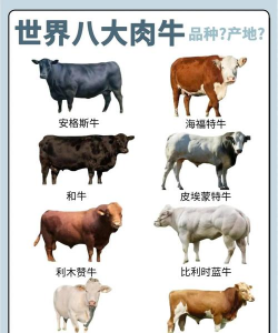 牛的品种有哪些 牛的品种有哪些