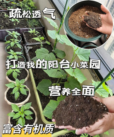 营养土放3年了还能用吗 营养土放3年了还能用吗