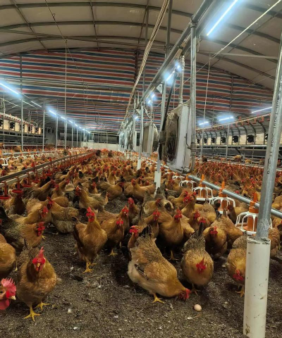 有哪些特种养殖 有哪些特种养殖