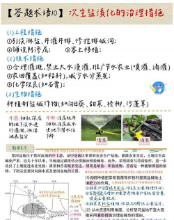 盐碱地怎么改良土壤 盐碱地怎么改良土壤