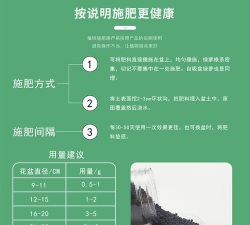 绿萝施什么肥料长得好 绿萝施什么肥料长得好