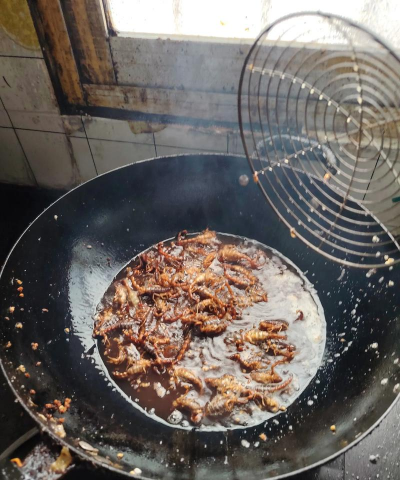 蝎子养殖最成功方法 蝎子养殖最成功方法