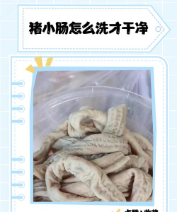 怎样洗猪小肠最快最干净的窍门 怎样洗猪小肠最快最干净的窍门