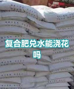 复合肥可以兑水浇花吗 复合肥可以兑水浇花吗