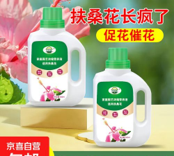 扶桑花喜欢什么肥料 扶桑花喜欢什么肥料