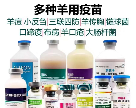 目前的牛羊疫苗有哪些 目前的牛羊疫苗有哪些