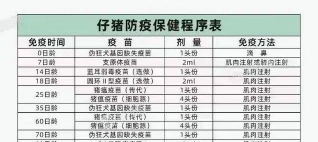 仔猪保育时间多少天 仔猪保育时间多少天