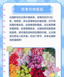 玫瑰批发多少钱 玫瑰批发多少钱