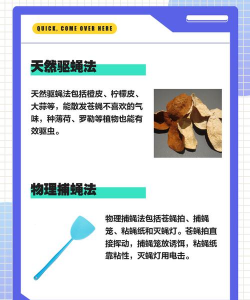 苍蝇卵怎么灭掉 苍蝇卵怎么灭掉