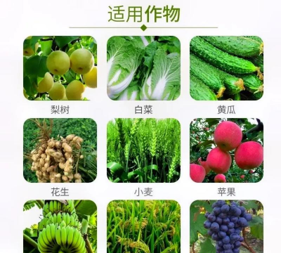 戊唑醇会抑制果实膨大吗 戊唑醇会抑制果实膨大吗