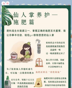 仙人掌如何养殖 仙人掌如何养殖