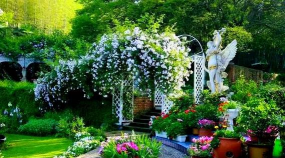 68岁爷爷,1万块打造最美私家花园,老外都慕名而来! 68岁爷爷,1万块打造最美私家花园,老外都慕名而来!