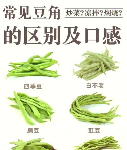 甜豆和四季豆区别 甜豆和四季豆区别