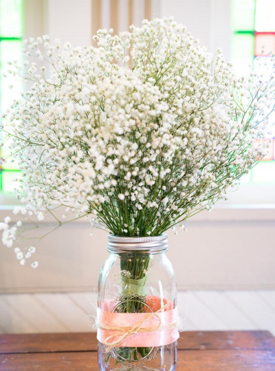 满天星喜欢阳光吗 满天星喜欢阳光吗