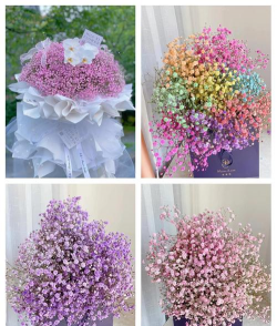 满天星花语是什么 满天星花语是什么