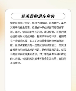 紫茉莉可以种在花盆里吗 紫茉莉可以种在花盆里吗