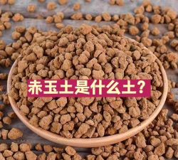 赤玉土是什么土 赤玉土是什么土