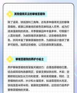 直立茎的植物有哪些 直立茎的植物有哪些