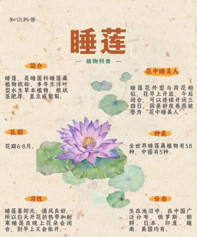 睡莲什么时候开花 睡莲什么时候开花
