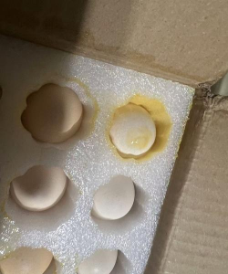 鸡蛋的破损率是多少 鸡蛋的破损率是多少