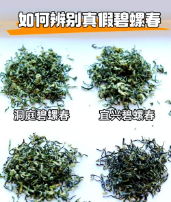 碧螺春怎样鉴别好坏 碧螺春怎样鉴别好坏