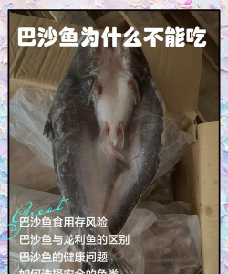 巴沙鱼为什么不能吃 巴沙鱼为什么不能吃
