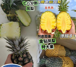 如何养凤梨 如何养凤梨