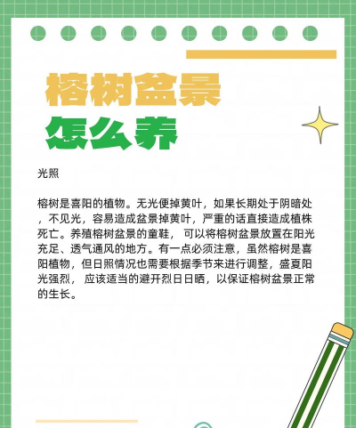 榕树如何养 榕树如何养