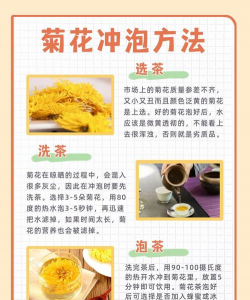 菊花茶怎么泡 菊花茶怎么泡