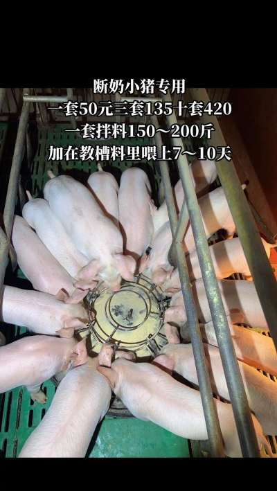 小猪断奶多少天可以卖 小猪断奶多少天可以卖