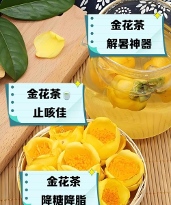 金银花茶泡水喝有什么功效 金银花茶泡水喝有什么功效