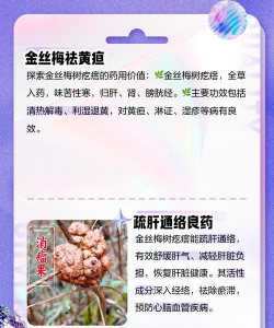 金梅花养殖方法和注意事项 金梅花养殖方法和注意事项