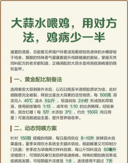 大蒜养鸡多久喂一次 大蒜养鸡多久喂一次