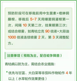 如何有效治疗番茄青枯病 如何有效治疗番茄青枯病