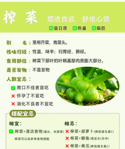 北方榨菜种植时间和方法 北方榨菜种植时间和方法