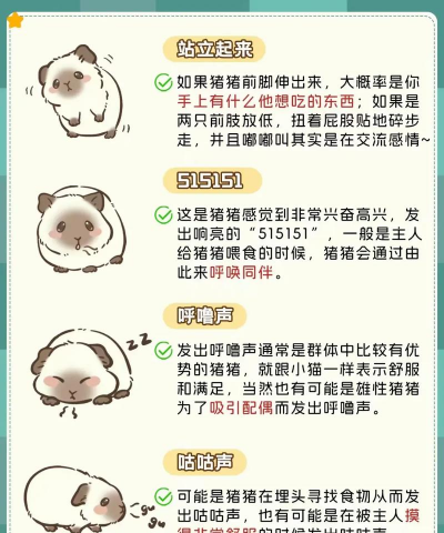 猪怎么饲养 猪怎么饲养