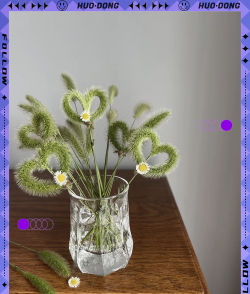 狗尾草在家怎么种 狗尾草在家怎么种